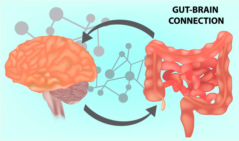 microbiota